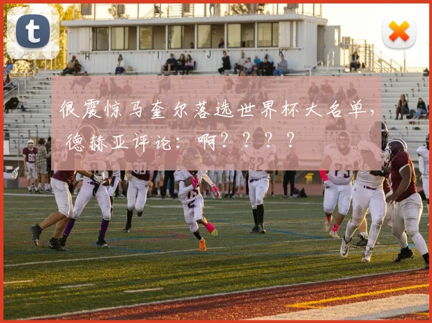 很震惊马奎尔落选世界杯大名单， 德赫亚评论：啊？？？？